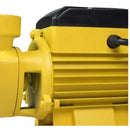 Bomba D'água Periférica Ferrari Acquapump 0,5HP 220V